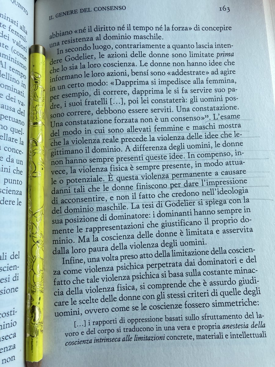 lotticarlotta tweet picture