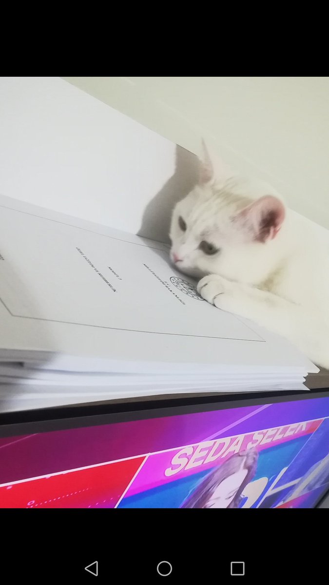 Mamaların çok pahalandığını duyan bizim Nazlı, hemen kariyer basamakları sınavına hazırlanmaya başladı. İş başa düştü artık. Eeeeee senenin bilmem kaçta kaçını yatan Nazlı, karnını doyurmak istiyorsan bu sınavı geçeceksin.