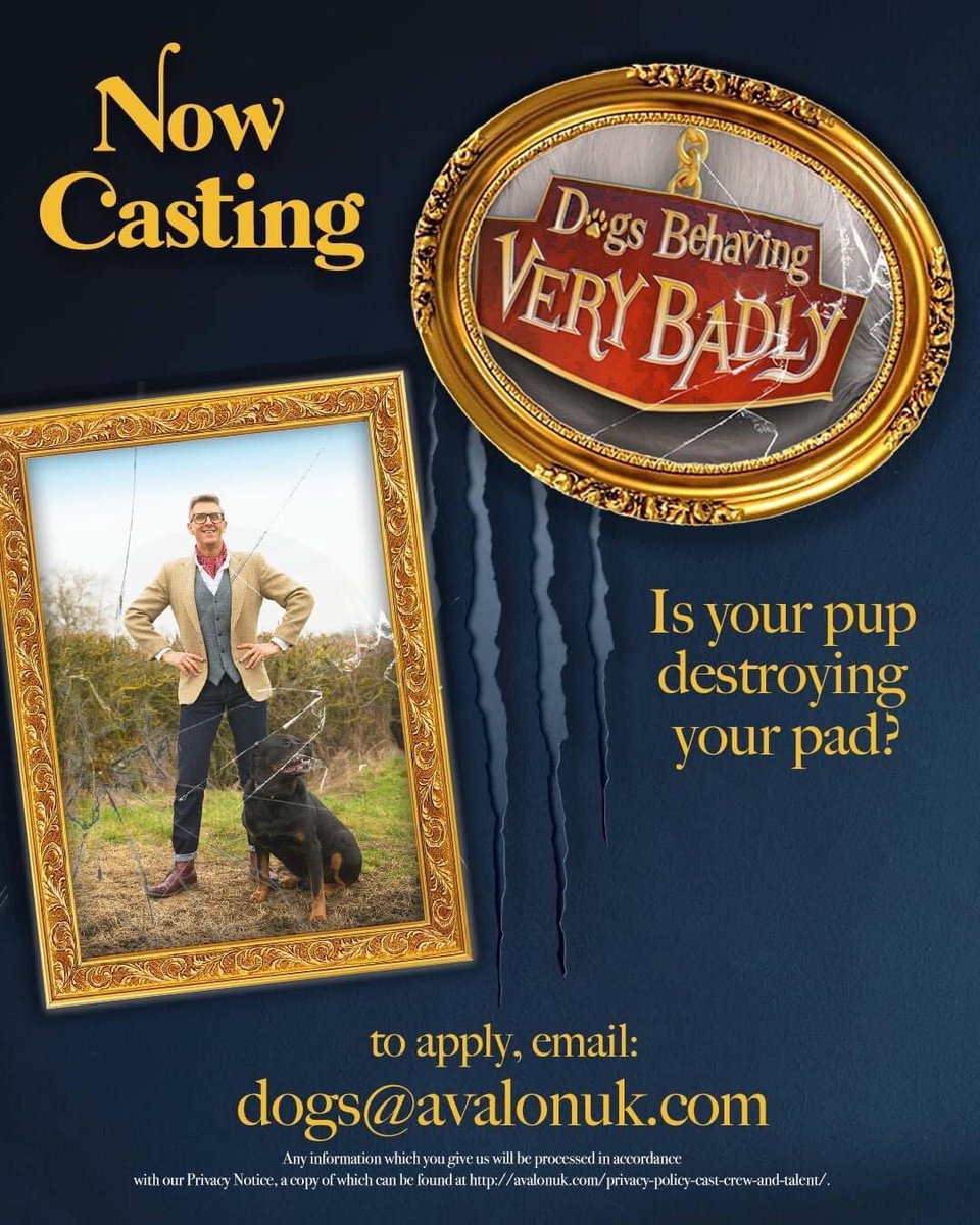 GraemeDogfather's tweet photo. Casting 🎥 🐕 

Is your pup destroying your pad?

Apply for the next series of #DogsBehavingVeryBadly

📧 dogs@avalonuk.com

#dogs #dogbehaviour #dogtraining #beonashow #CASTING https://t.co/RZQ40rbJLn