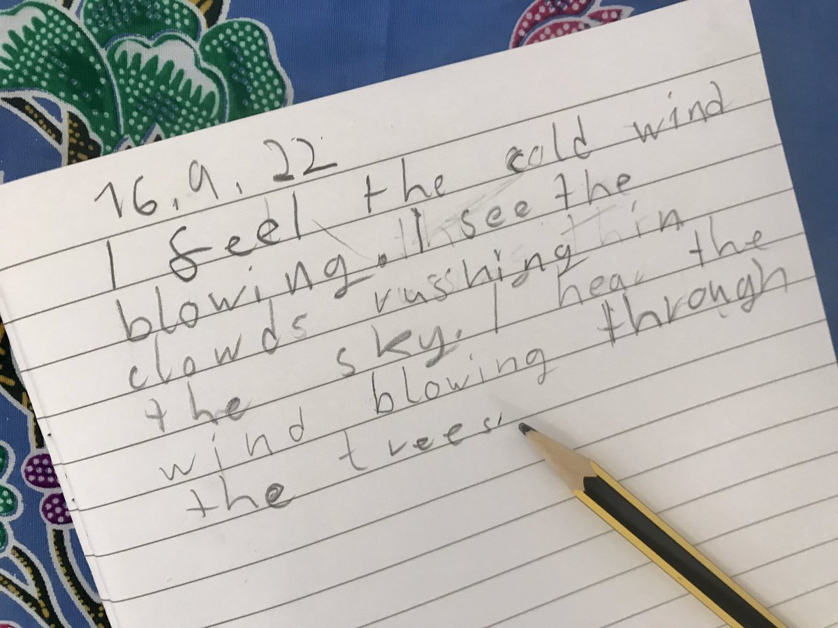 Amelia O'Brien tweet media