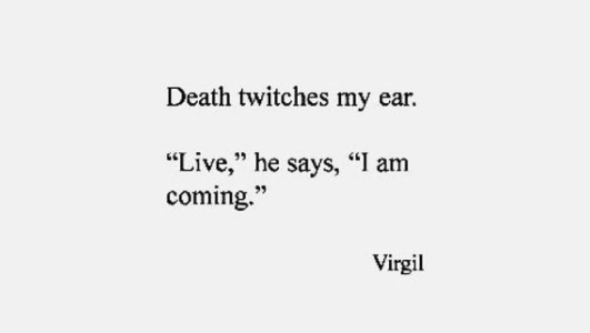MayaCPopa's tweet photo. Happy Saturday, friends.

A good reminder: https://t.co/N8Pzx3po5S