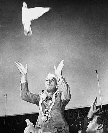 indianhistorypics on X: "PM Jawaharlal Nehru Releasing Pigeon On The Occasion of His 66th Birthday https://t.co/rXcrbfEFam" / X
