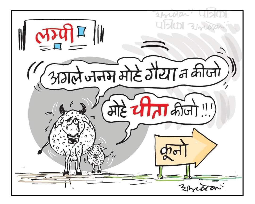 SANDEEP KUMAR Kannaujiya (@sandeep67655369) on Twitter photo 