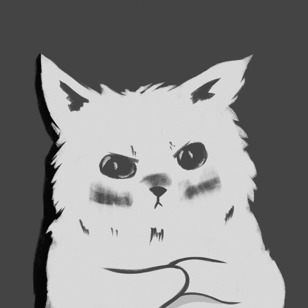GRAY_ILLU's tweet photo. Cato the cat https://t.co/9l8fde81is