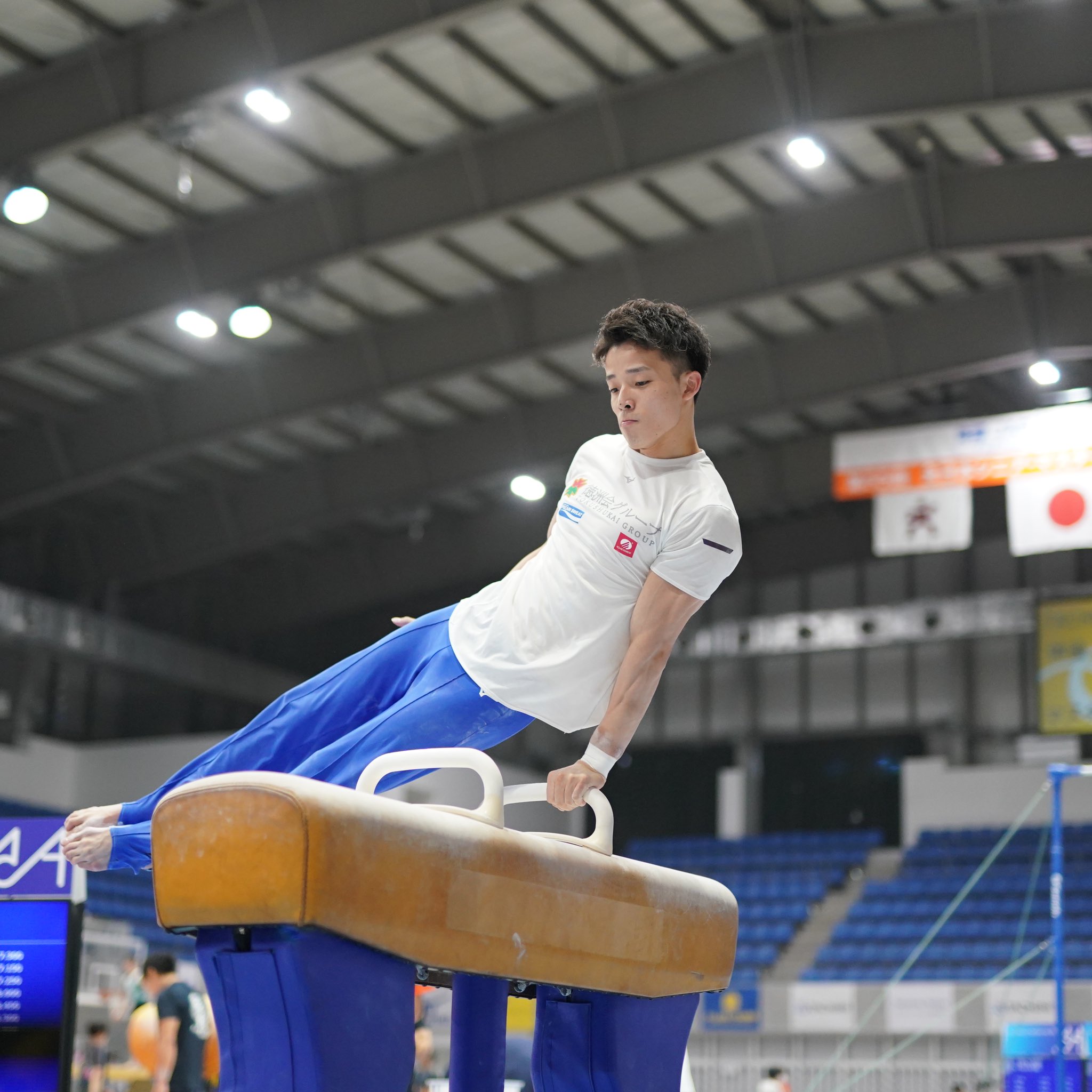 器械体操 あん馬 円馬 ボック 高さ調整可 体操競技 鉄棒 旋回