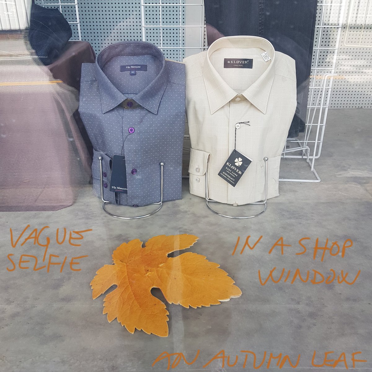 dglvd_txt's tweet photo. vague selfie
in a shop window
an autumn leaf

#senryu #haiku #shahai #haiga https://t.co/1CWuVcV8LC