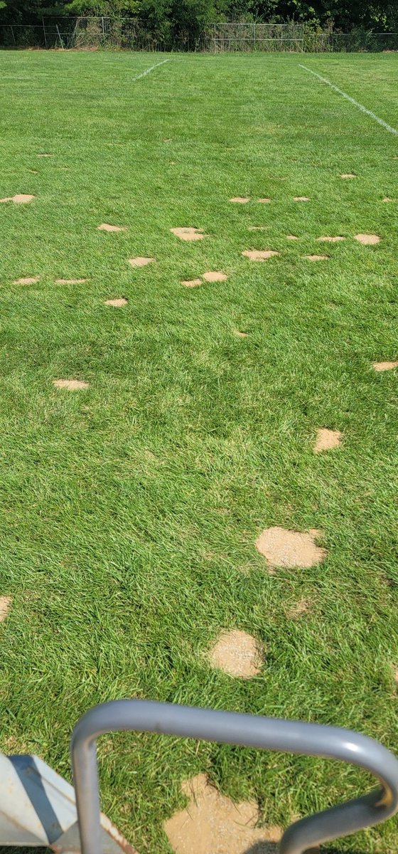 never realized how much damage a horse could do to a soft field from all the rain..hoove holes everywhere.