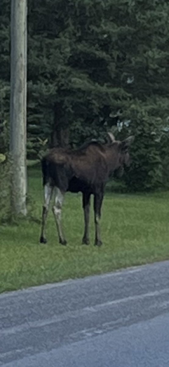 HarvexRobin's tweet photo. Don’t often see this driving into Town 🤷‍♂️ https://t.co/Yf45uABWuU