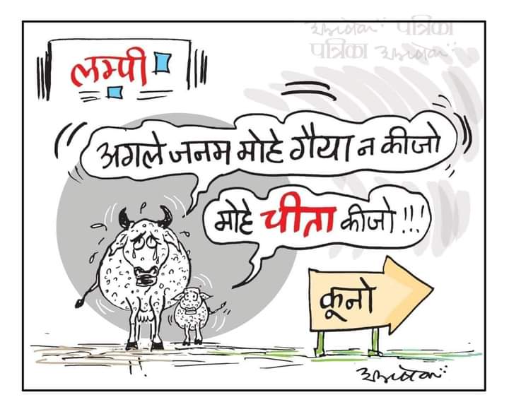 jaibandhusarkar's tweet photo. Kya Hoga #Desh Ka #gay ka #Ilaaj Ho Nahin rahi hai 100 #Carod #rupaye kharch Karke #Cheetah 🐅 Lekar Aaye Hain
#Modi #lampivirus #modibagat #cow https://t.co/HkWPZ26b1T