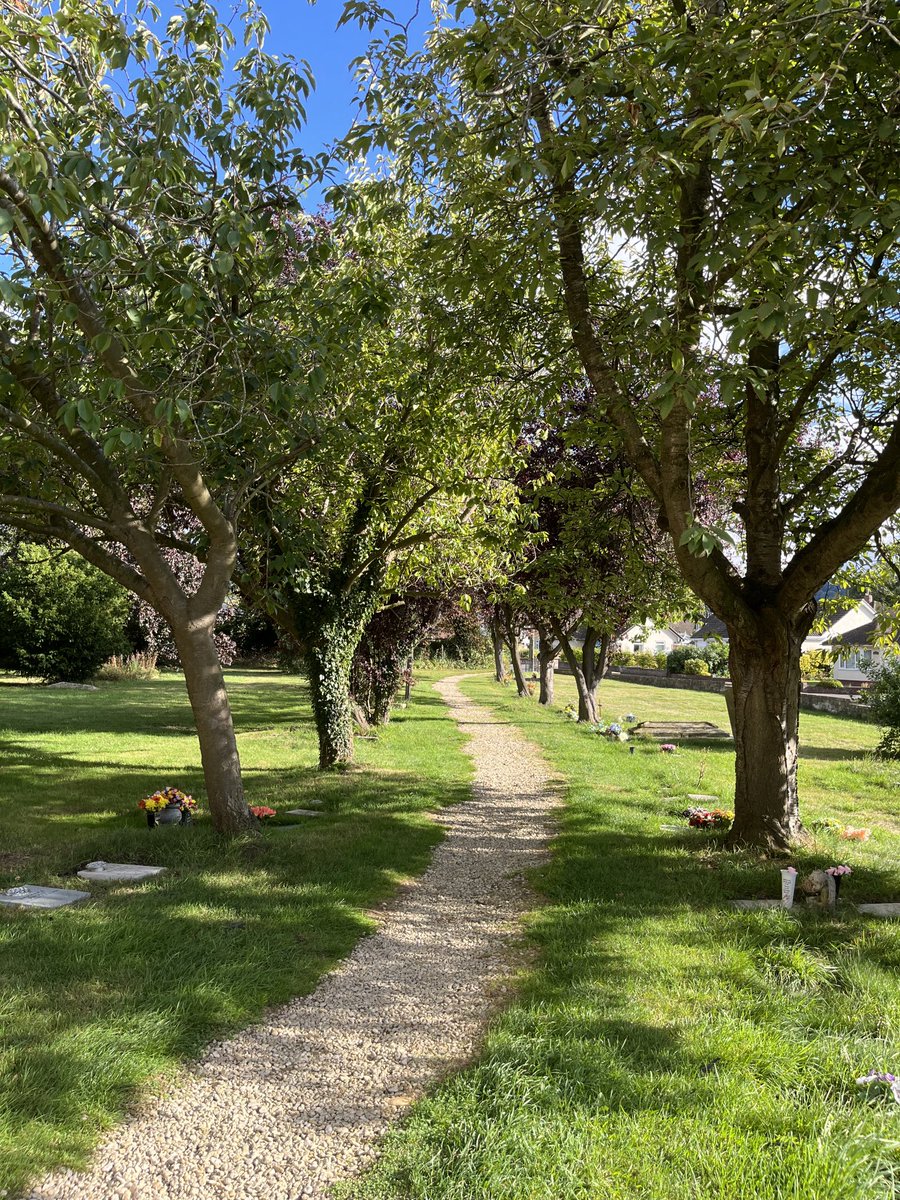 Barb_Drummond's tweet photo. #Churchyard #path #Coaley https://t.co/1OaoGyTiwA