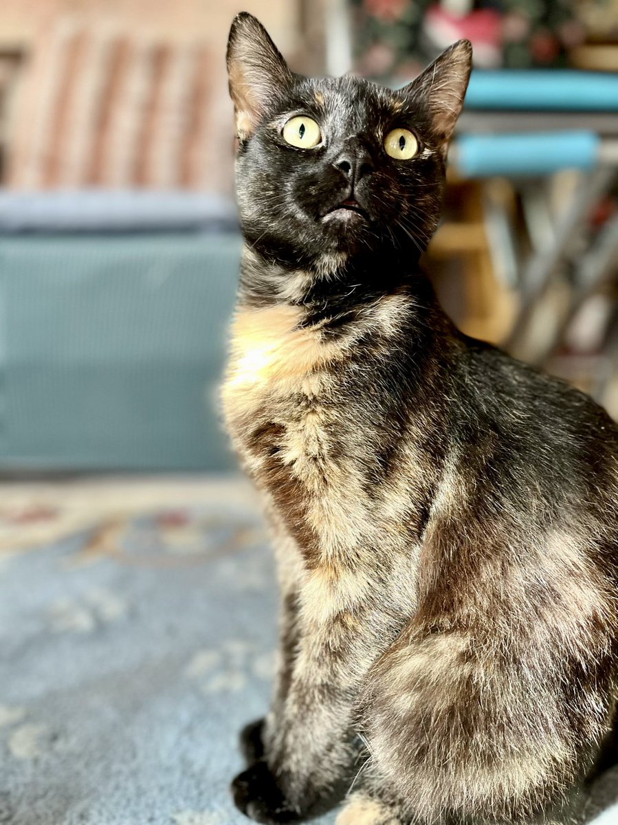 Lucy🇨🇦 tweet media