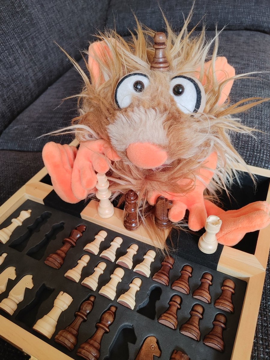 Gestern Abend haben wir dem kleinen Menschenwesen und noch anderen beim Atmen zugehört. Ok, die Menschenwesen haben es irgendwie anders genannt, aber alle waren ganz leise, haben auf ein Brett gestarrt und manchmal kleine Figuren bewegt. Sehr mysteriös.... 🤔😊😊