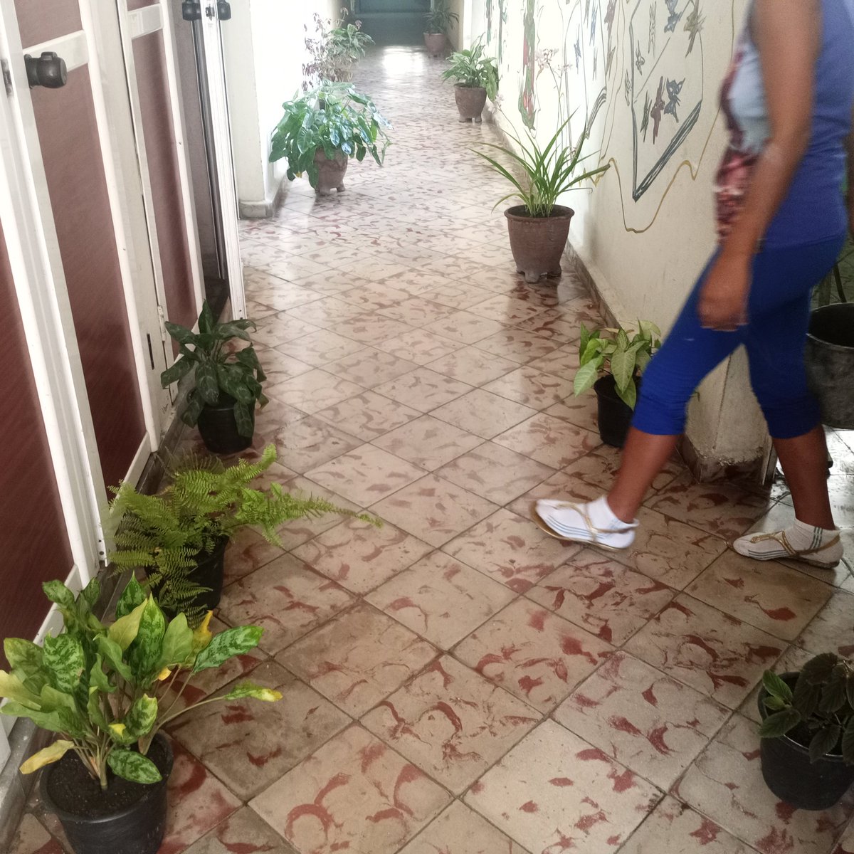 KindelanYare's tweet photo. Aseguramientos para el ensayo en seco mañana 18 Colegios en nuestras instituciones educativas #CodigoSi https://t.co/S7E1KQTya1