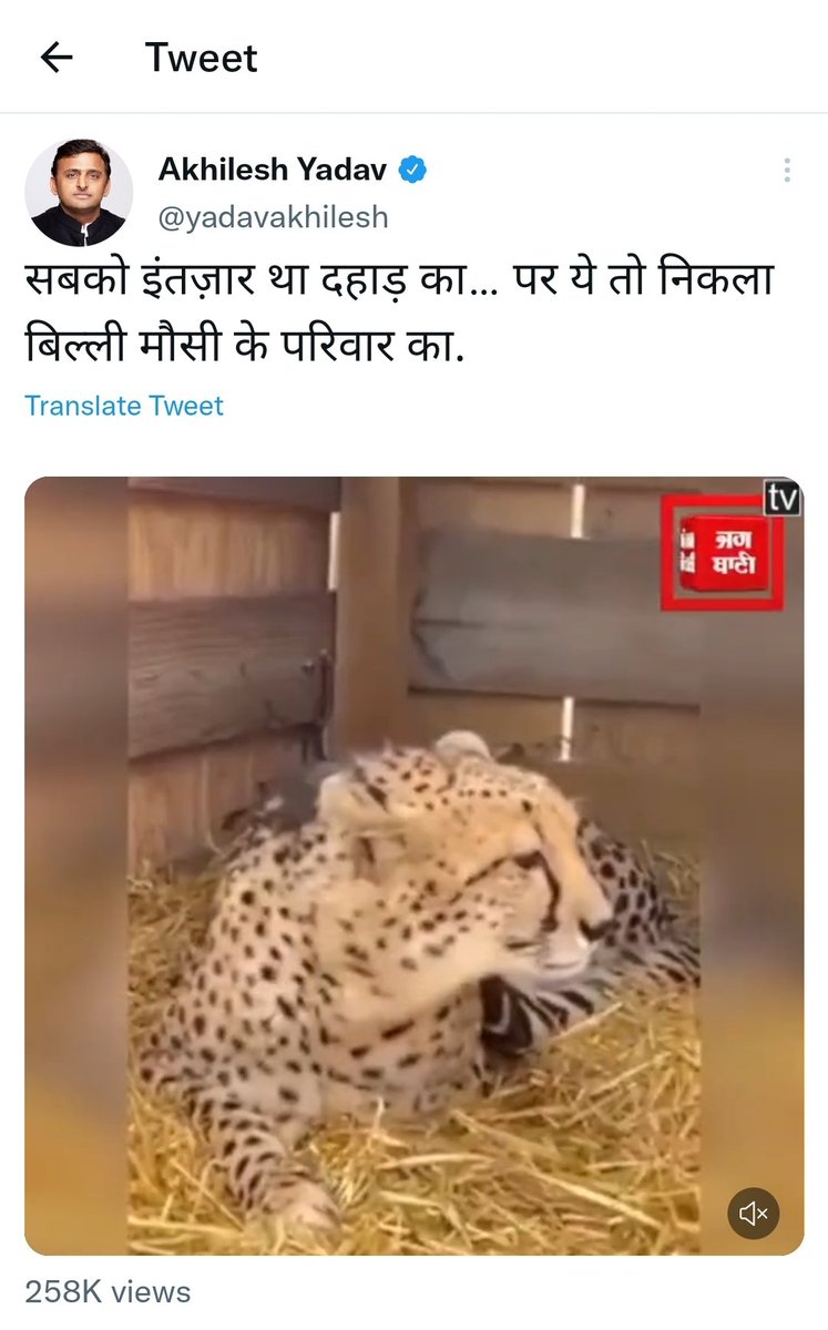 IamAjaySehrawat's tweet photo. Ye Australia se padhe hai... Sara paisa barbad 😂 https://t.co/XLmywLhJQi