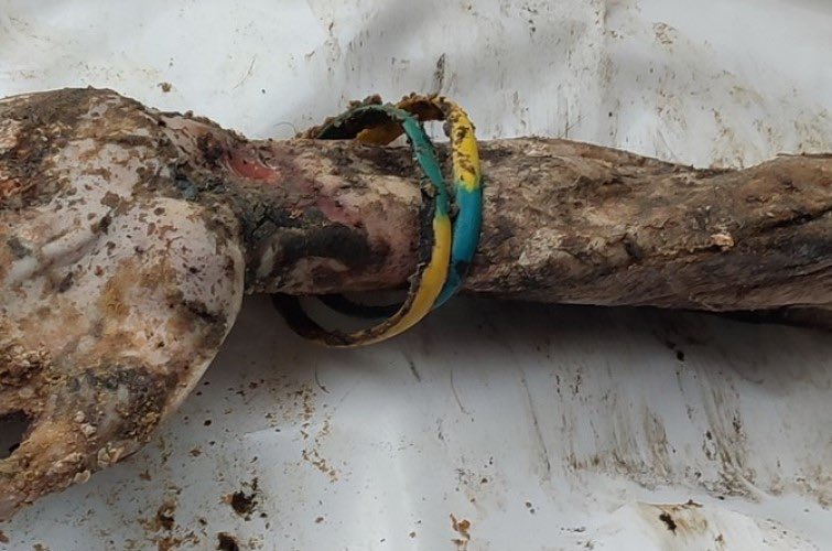 IAPonomarenko's tweet photo. I’m not gonna blur this. 
This is exactly what you think it is.
Everybody in the world must see the reality of what the Kremlin is doing to Ukraine while braindead motormouths in the West squeal about “NATO expansion,” or “U.S. proxy war on Russia,” or “concessions for peace,” https://t.co/VxE2Z2hY3F