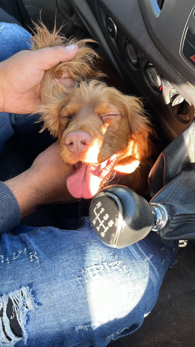 Trishna Thakrar tweet media