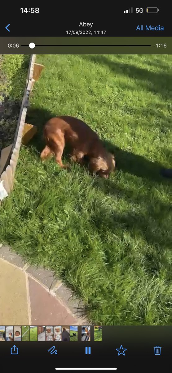 Trishna Thakrar tweet media