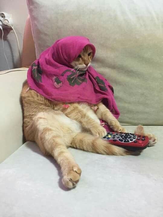 Babushkat