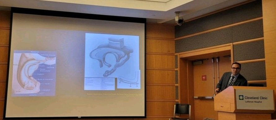 Primer on #temporal #lobe #anatomy. Fundamentals of #epilepsy #surgery, at our #CleClinicNeuro course! #sEEG #neurosurgery <a href="/RichardRammoMD/">Richard Rammo, MD</a> <a href="/imadmnajm/">Imad Najm</a> <a href="/irenezhongwang/">Irene Wang, PhD, FAES</a> <a href="/VineetPuniaMD/">Vineet Punia</a> <a href="/ESpurgeonMD/">Elizabeth Spurgeon, MD</a> <a href="/AMoosaMD/">Ahsan Moosa Naduvil, MD 🧠⚡️</a> <a href="/Hantus/">Stephen Hantus</a> <a href="/epilepsydoc/">Demitre Serletis</a> #hippocampus