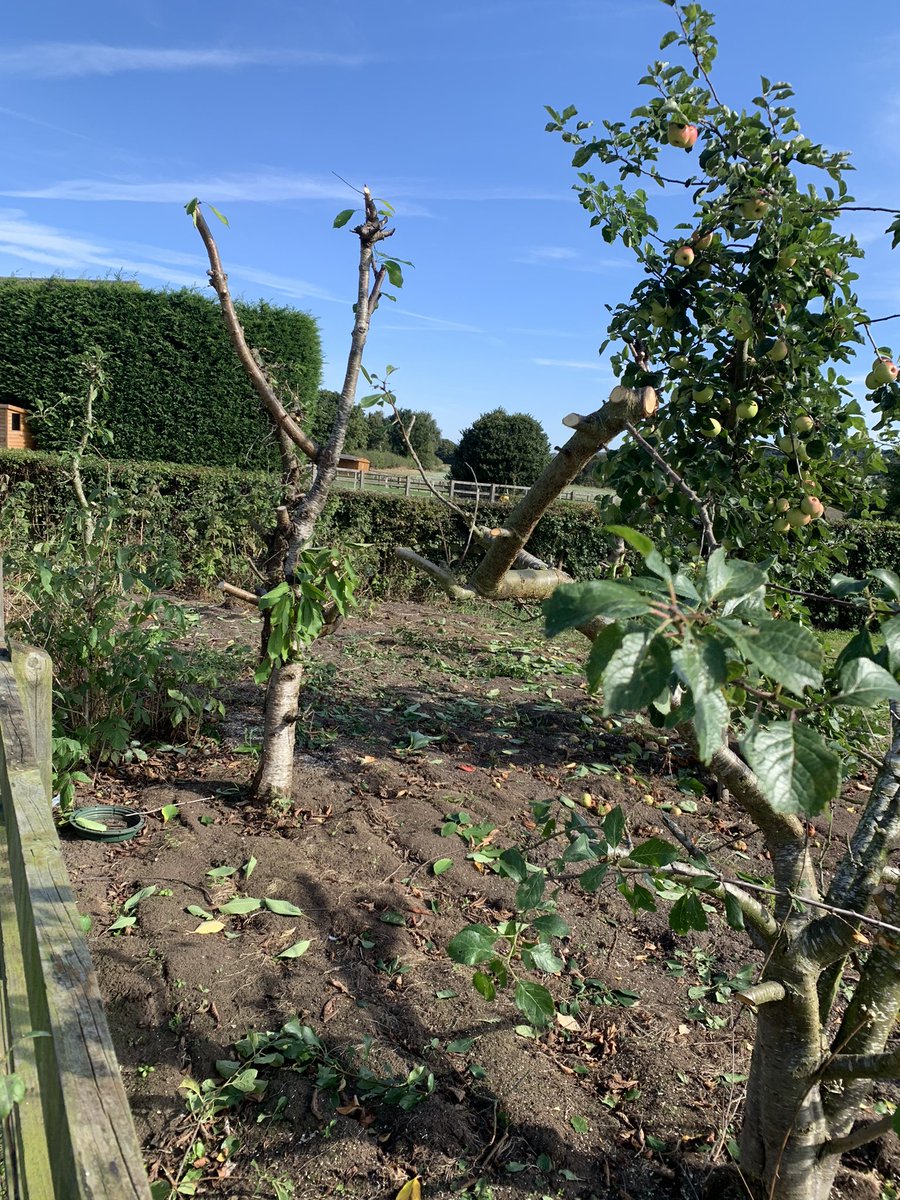 David Sinton tweet media