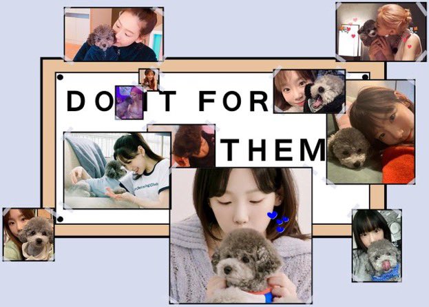 taeyeonhag's tweet photo. https://t.co/PcTVV1eznf