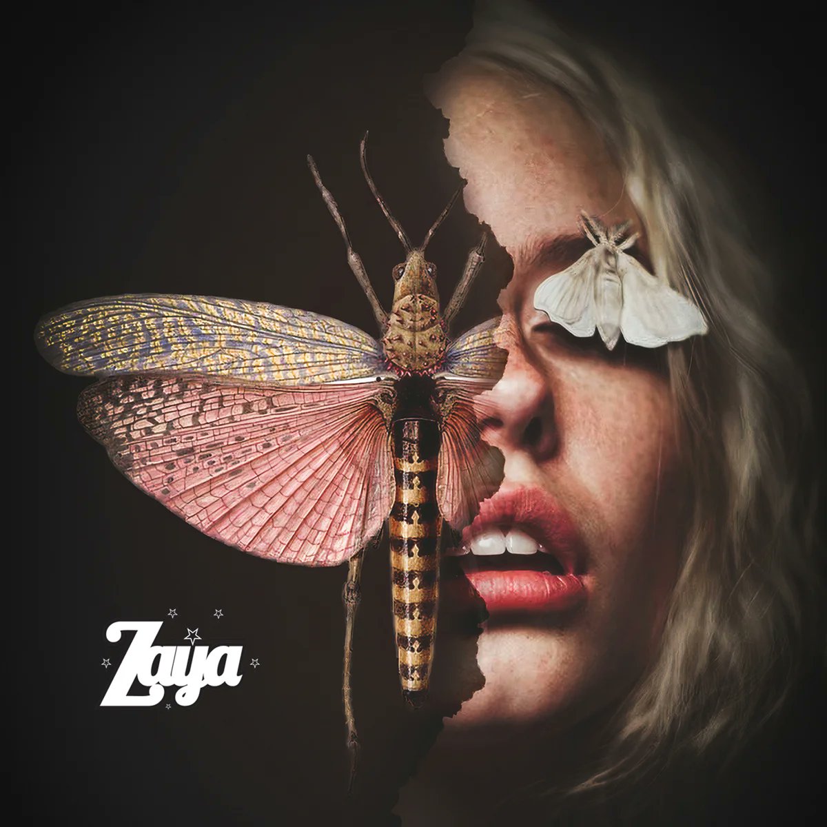 monorail music tweet media