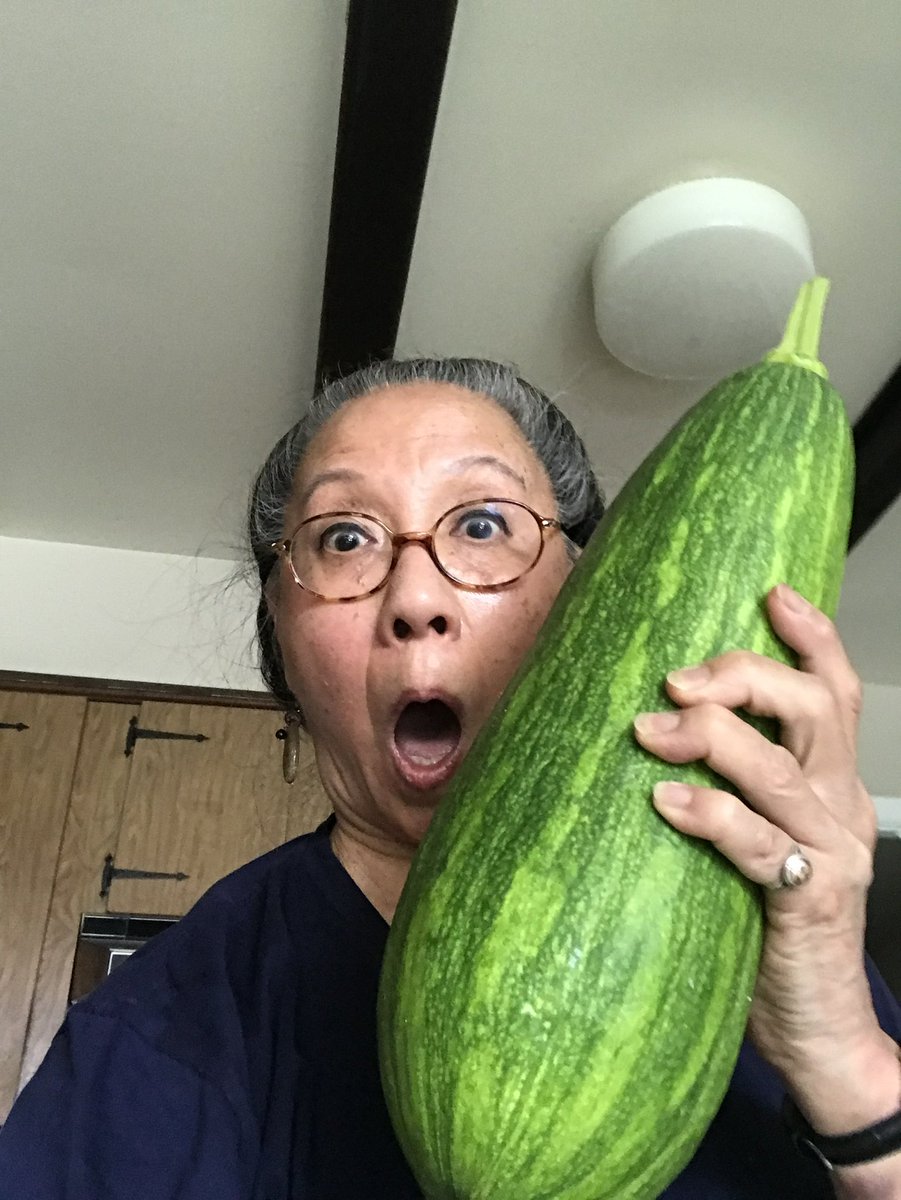 With all the streaming, network and cable content cutbacks, writers don’t have a chance, especially BIPOC writers. So, I’m experimenting with my next iteration, backyard self food sustainability that yields bigger produce from one seed… #screenwriter #actor