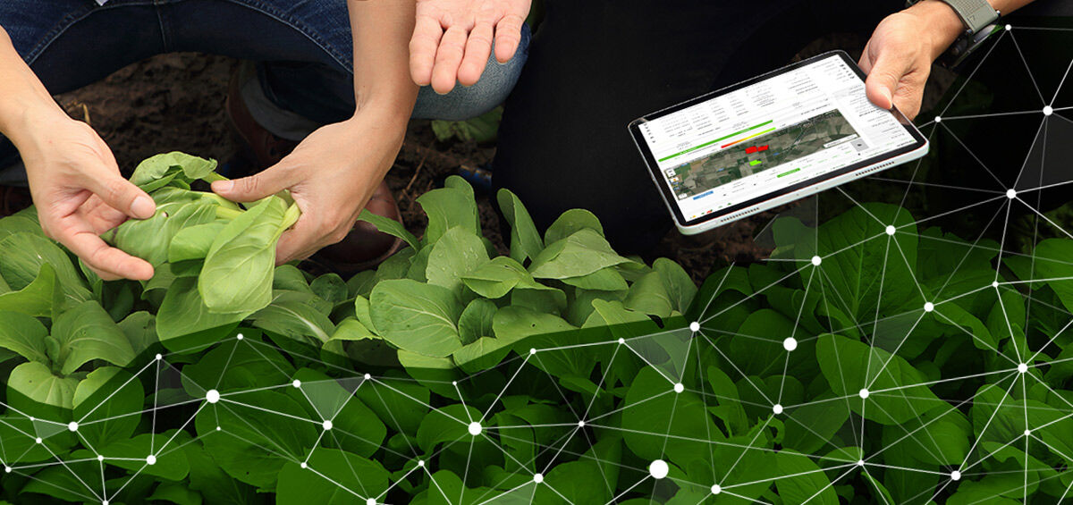 AgriviCorp's tweet photo. Why should farmers digitalize their production?

🌱 Easily accessible data anytime, anywhere
🌱 Fact-based decisions from real-time insights 
🌱 Complete production #traceability
🌱 Simple planning &amp; reporting
🌱 Maximized #profitabilty

https://t.co/ojBFyoFQzz

#AGRIVI #AgTech https://t.co/IJZrCoHwJk