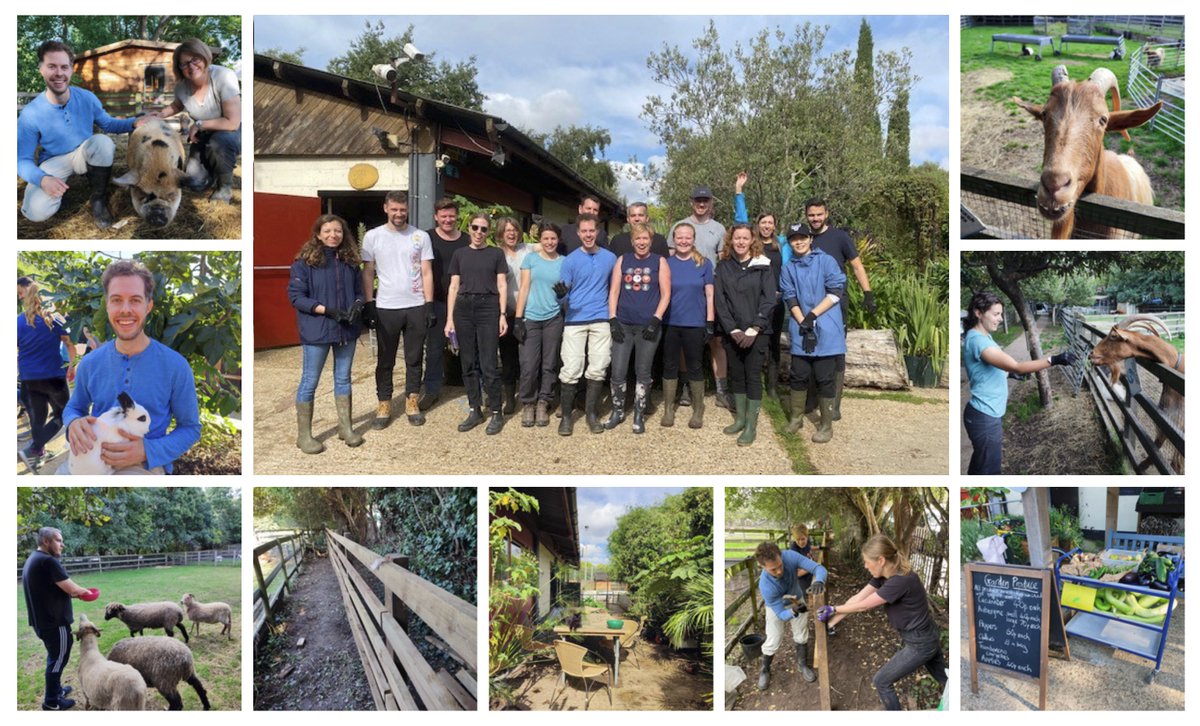fabianpiau's tweet photo. I had such a nice time volunteering for a day at Freightliners City Farm, helping to build a fence for the cows, feeding and petting various animals. Thanks Expedia for giving employees the opportunity to give to others! #lifeatexpedia #dayofcaring #dayofgiving #volunteering https://t.co/VevvP423hu