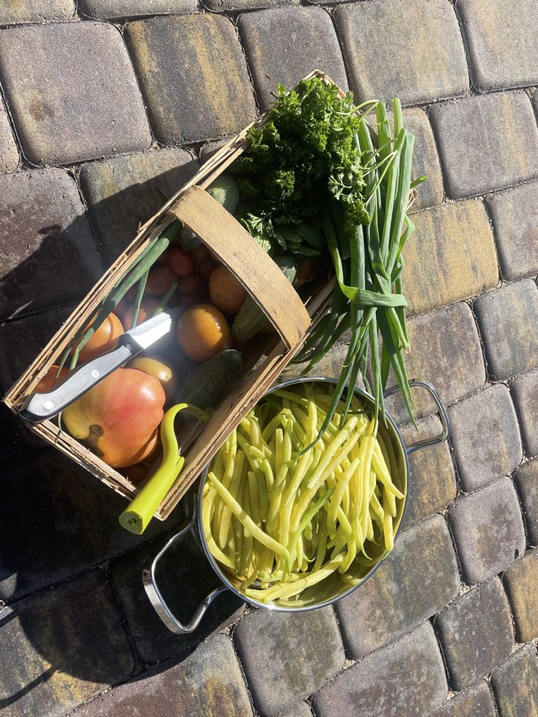 teodor_dziadek's tweet photo. My #garden #vegan #tomato #herbs #cucumber #beans #parsley #mint #dill #onion #letuce #village #ranch #dinner #supper 🌶🥬🫑🍅🥒🧅🧄🌿🌱🙏♥️💚 https://t.co/EHCmO9Fdlm