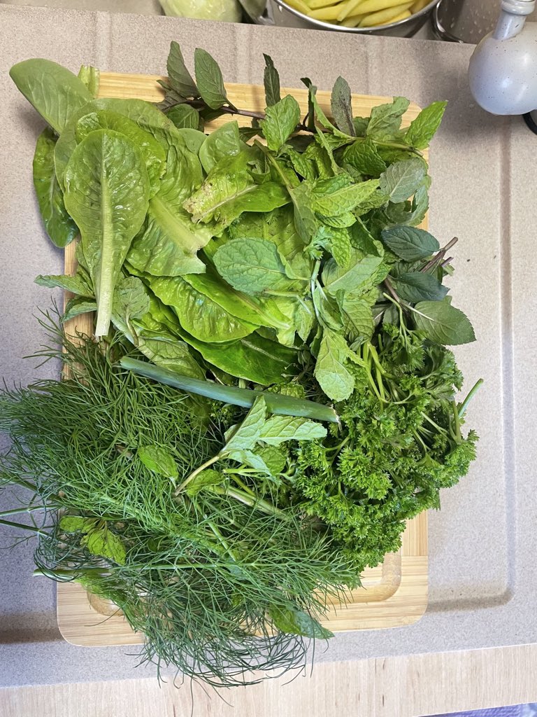 teodor_dziadek's tweet photo. My #garden #vegan #tomato #herbs #cucumber #beans #parsley #mint #dill #onion #letuce #village #ranch #dinner #supper 🌶🥬🫑🍅🥒🧅🧄🌿🌱🙏♥️💚 https://t.co/EHCmO9Fdlm