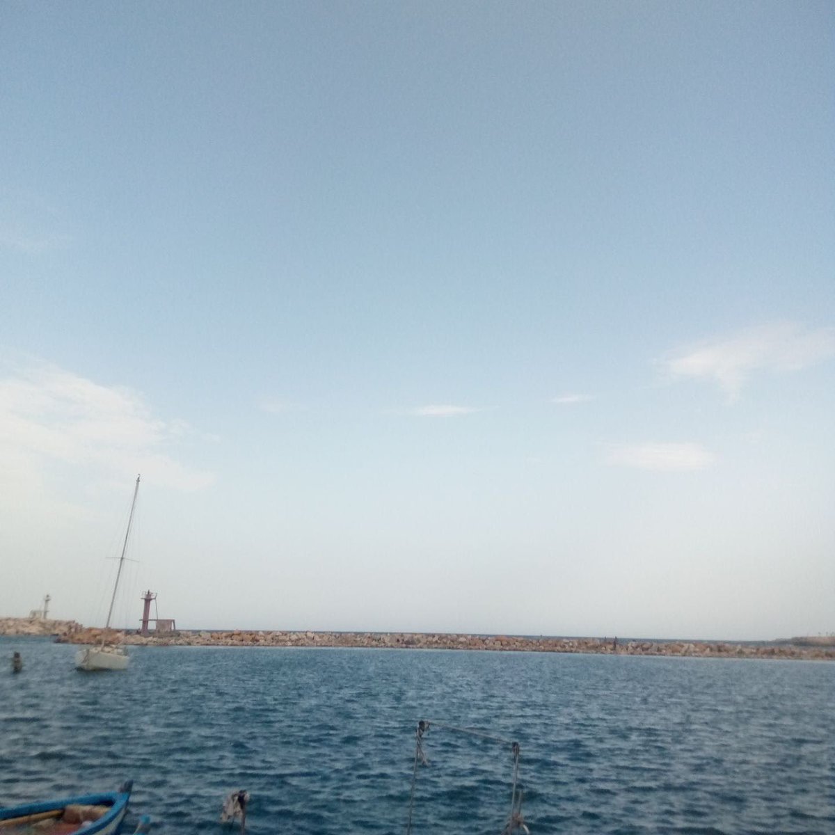 TabithaOtshudi1's tweet photo. J’ai toujours eu une passion énorme pour la nature et la photographie de la nature.
 
« Il n’y a pas meilleur maître que la nature » dit-on…

#Méditerranée   #Monastir

#picturebyme
@TabithaOtshudi 

Un bon week-end ici🍷 https://t.co/Vu8UtzQq7i