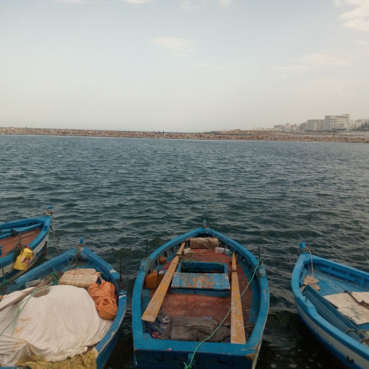 TabithaOtshudi1's tweet photo. J’ai toujours eu une passion énorme pour la nature et la photographie de la nature.
 
« Il n’y a pas meilleur maître que la nature » dit-on…

#Méditerranée   #Monastir

#picturebyme
@TabithaOtshudi 

Un bon week-end ici🍷 https://t.co/Vu8UtzQq7i
