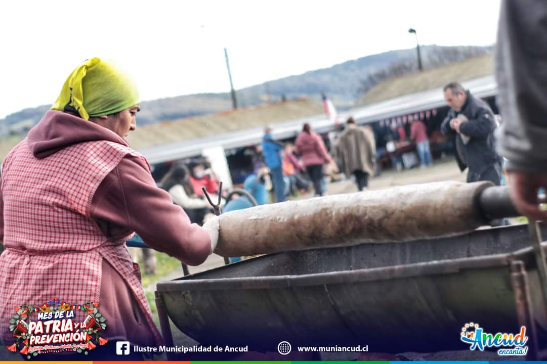 Municipalidad Ancud tweet media