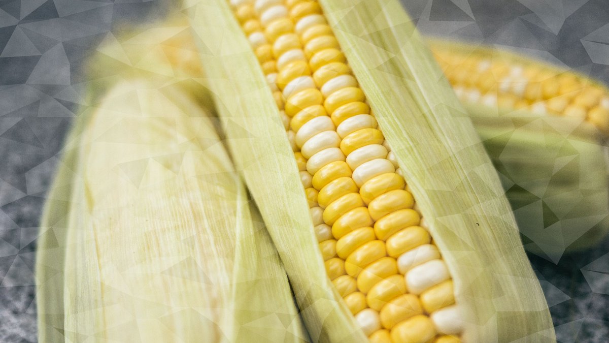 cb_baptist's tweet photo. Join us for our Kick-Off Sunday and Corn Boil tomorrow at 11:00 am at 11 O'Connell Drive.

Join us for fellowship, food, and the launch of our new sermon series, "Rediscover Church."

See you there! 

🌽 https://t.co/idcgKcgYGw