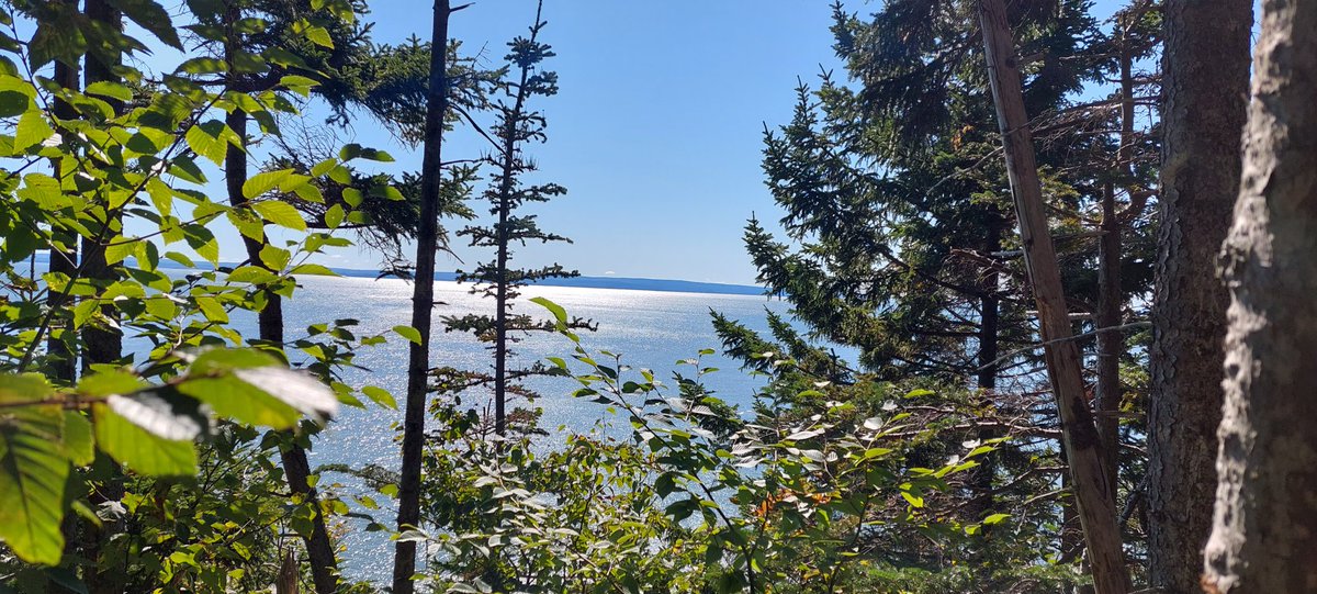 Good morning #NovaScotia, I can see you from Goose River trail, #fundynationalpark, @mynewbrunswick