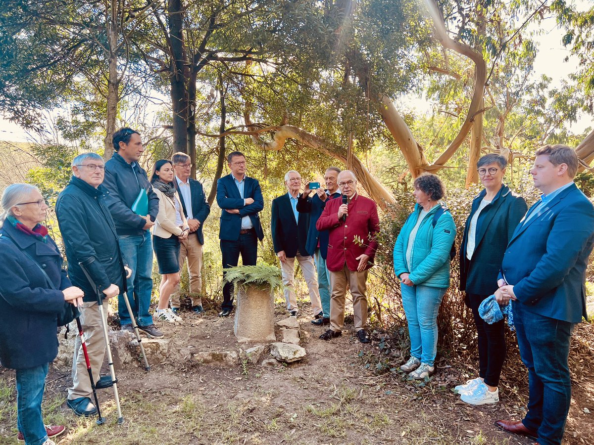 sebastienfagnen's tweet photo. Le rocher de la Fauconnière abrite depuis 150 ans un lieu unique, le jardin #Favier. La @VilleCherbourg s’engage, avec le précieux soutien de @BCazeneuve, dans la restauration de ce joyau botanique. Les #JEP offrent l’opportunité de découvrir les essences venues du monde entier. https://t.co/1KpTmgsrYP