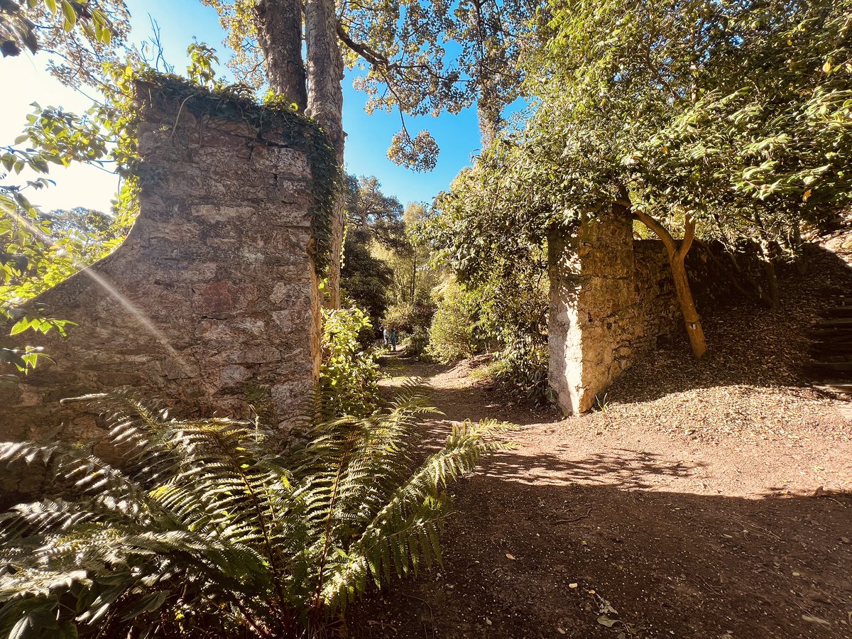 sebastienfagnen's tweet photo. Le rocher de la Fauconnière abrite depuis 150 ans un lieu unique, le jardin #Favier. La @VilleCherbourg s’engage, avec le précieux soutien de @BCazeneuve, dans la restauration de ce joyau botanique. Les #JEP offrent l’opportunité de découvrir les essences venues du monde entier. https://t.co/1KpTmgsrYP