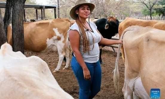 AfricaFactsZone's tweet photo. Botswana's 33-year-old Nonny Penelope Wright owns her own dairy producing and processing company called Sereledi and farming business called Lopey Inc.

She has been nicknamed the "Mother of Cows."

She is a member of the Executive Committee of Botswana National Dairy Association https://t.co/JaDUMetmLN