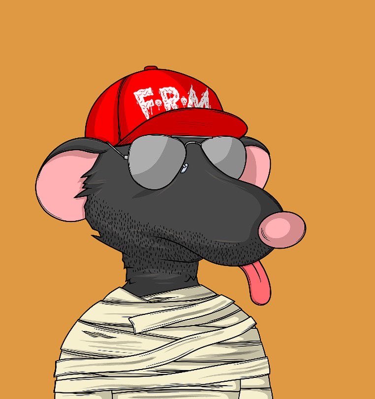 ObyTheApe's tweet photo. Good morning my web3 friends #FatRatMafia #FatRatFam #FRM #Web3 https://t.co/GrfJbwPwCa
