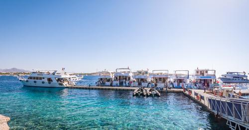 EmperorDivers tweet media