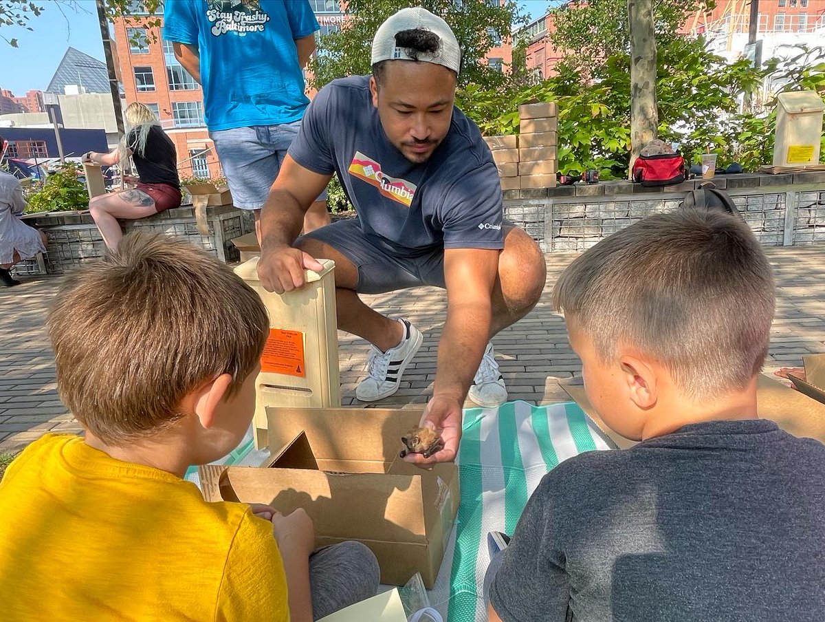 WP of Baltimore tweet media