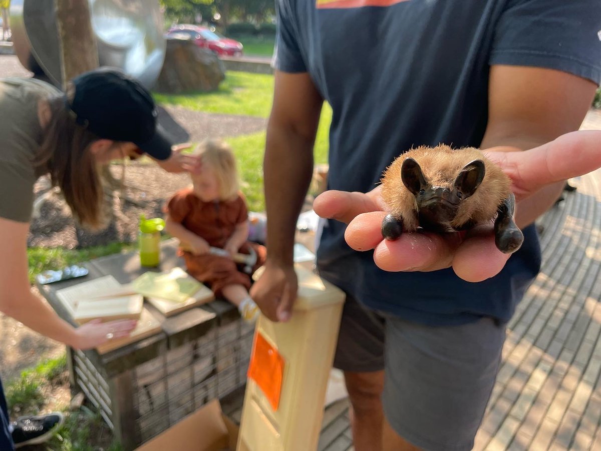 WP of Baltimore tweet media