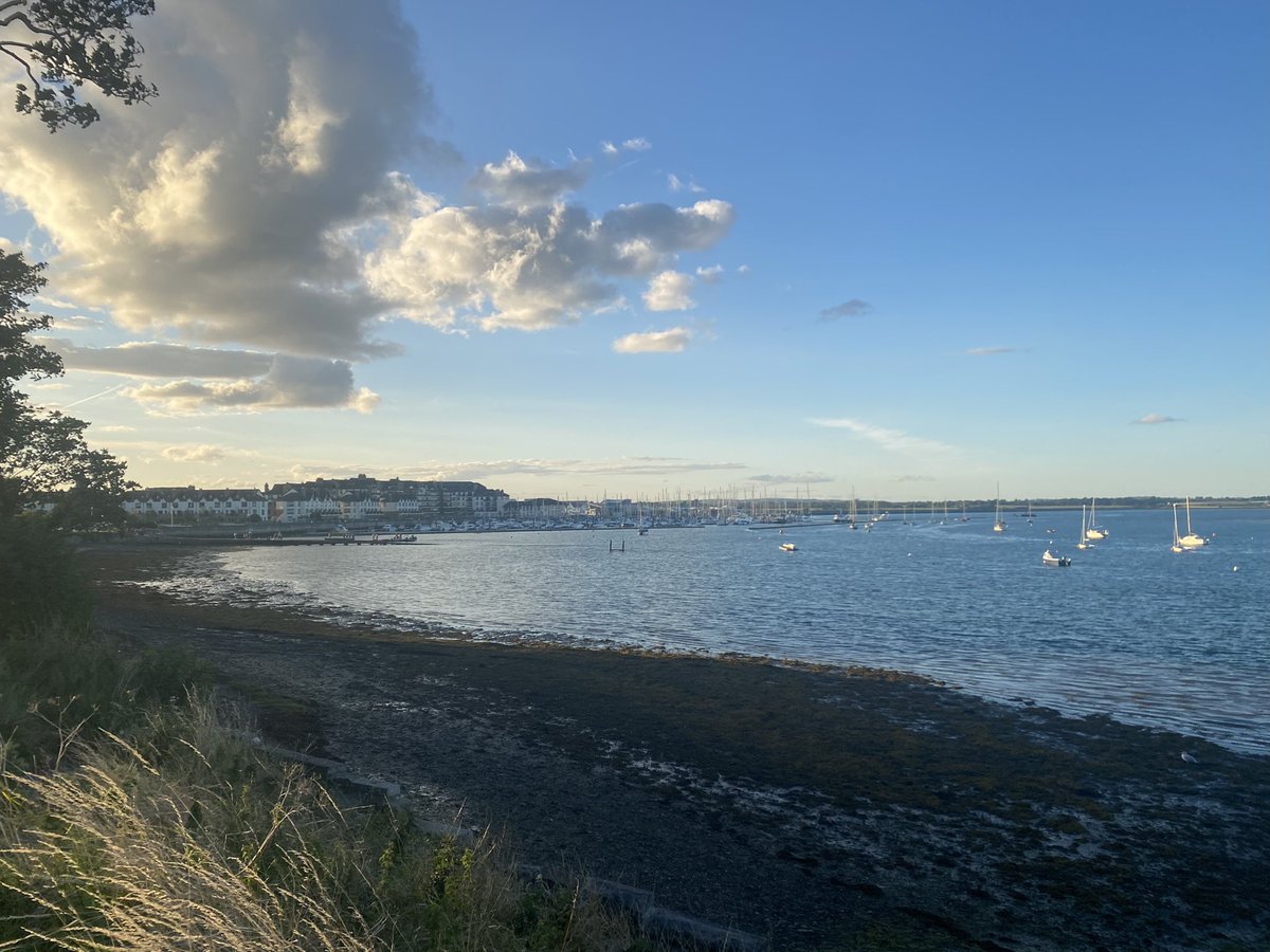 Congrats @EASLnews on a great-as-always #NAFLDsummit from beautiful Malahide - lots of thoughtful/spirited debate and clearly a whole summit on hepatocyte ballooning required 😉 #livertwitter