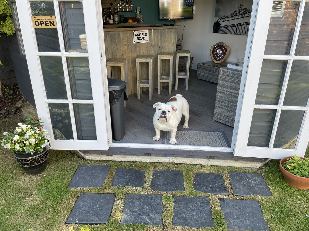 anfieldbhoy's tweet photo. After a dismal round of golf this morning I’m watching the cricket with our visitor #Mabel We are supporting @KentCricket with a drop of @ShepherdNeame #DocsBar https://t.co/a0XiVvZNMW