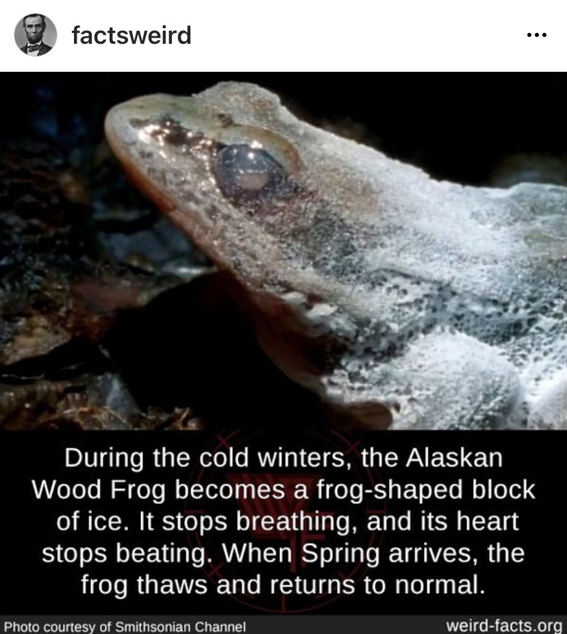 We can have a society that honors life🌲🍄🌻 on Twitter "RT neck_cheese