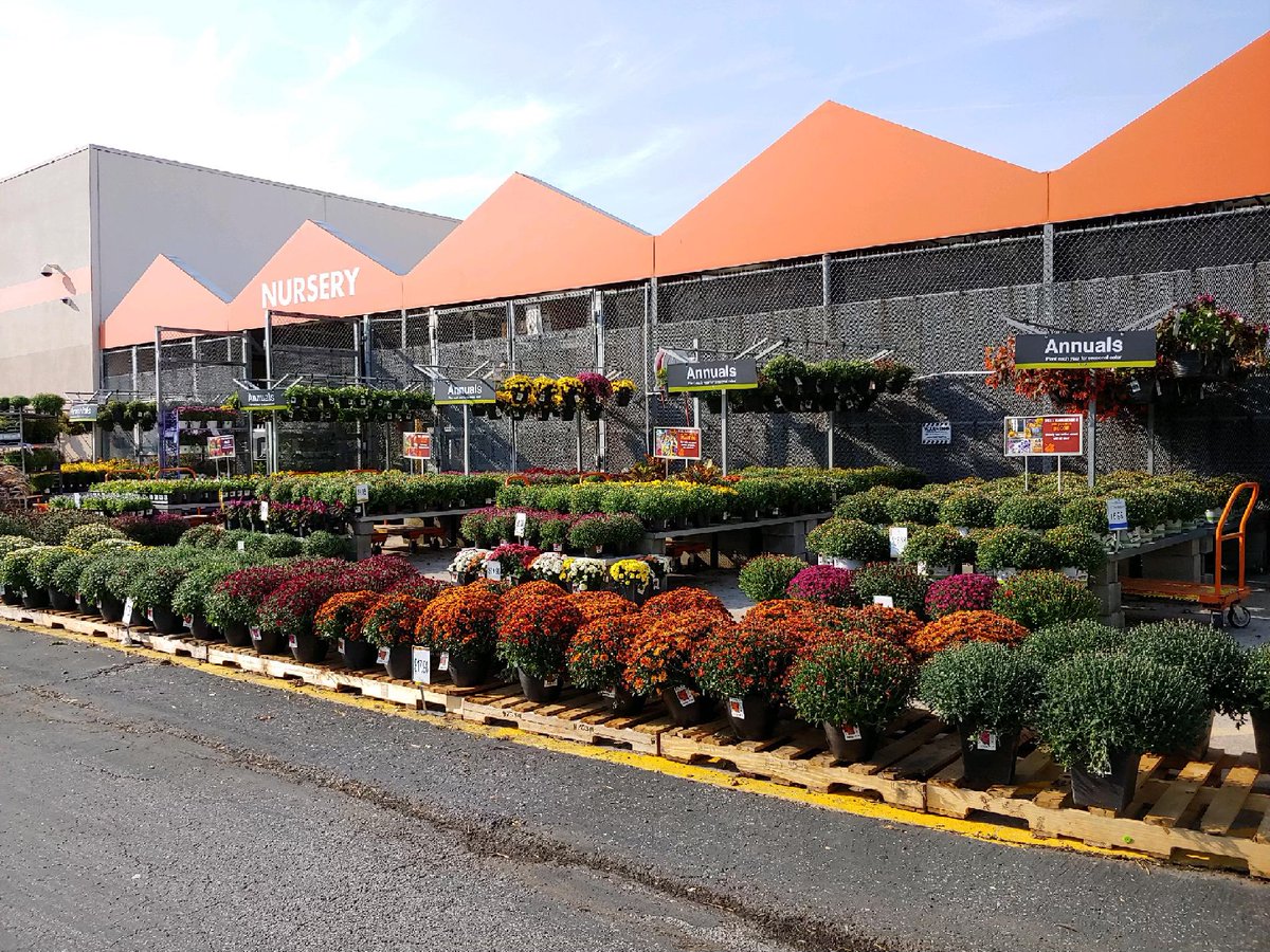 Amanda Fore tweet media