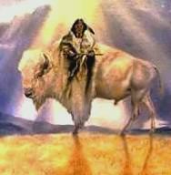 HunkpapaLakota #FirstNationsMatter tweet media