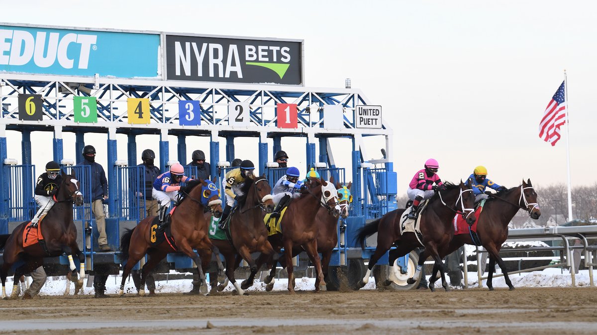 Ya estamos al aire EN VIVO a través del canal de YouTube EXACTA BOX. Analizamos una interesante jornada con clásicos en varios hipódromos. #hipismo youtu.be/3z0a4ZOm5kA