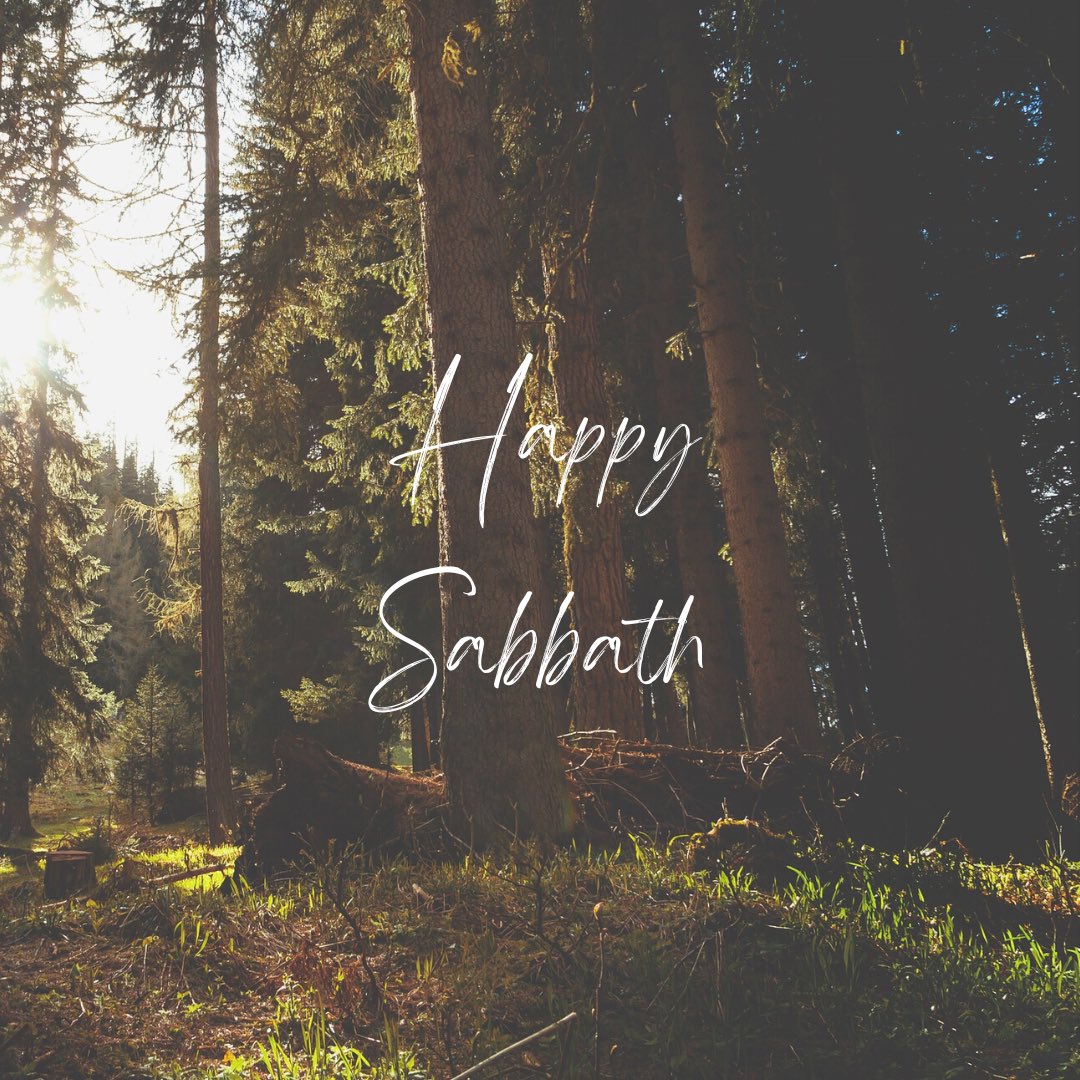 TorontoPerthSDA's tweet photo. ☺️ #SDA #HappySabbath #blessed https://t.co/jDk7fI83b2
